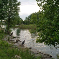 Psalm 53 - Fools Say in Their Hearts There is no God 