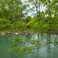 Psalm 44 - For Not by Sword!