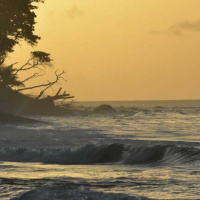 The Voice of the Lord is Over the Waters 