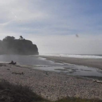 My God Why Have You Forsaken me?