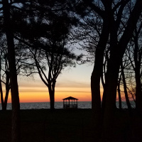 Fools Say in Their Hearts There is no God 