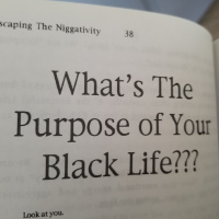 Whats the purpose of your black life pt. 2
