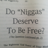 Do niggas deserve to be free pt 2 