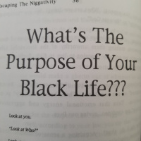 Whats the purpose of a black life?