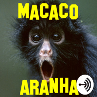 Macaco-Aranha 7 - Podcasts da hora!