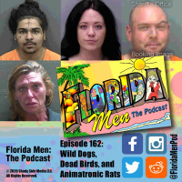 162 - Wild Dogs, Dead Birds, and Animatronic Rats