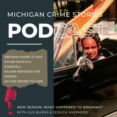 Michigan Crime Stories