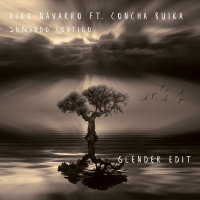 Kiko Navarro Ft. Concha Buika - Soñando Contigo (Glender Edit)
