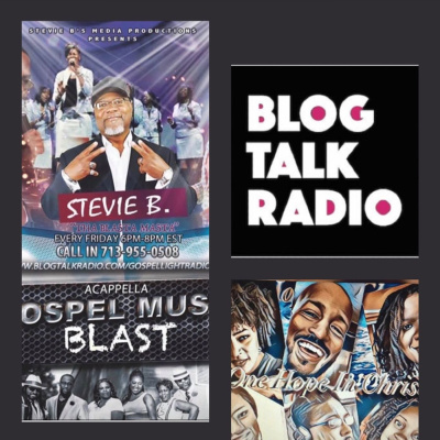 Stevie Bs Media Productions Presents