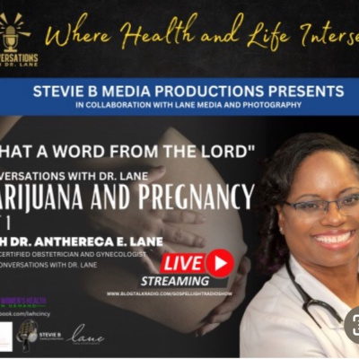 Stevie Bs Media Productions Presents