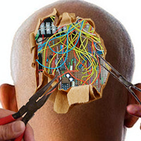 Rewire Yourself (Self improvement)