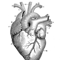 Lessons From The Heart (Self Improvement)