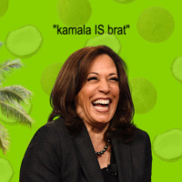 Ep 67: Kamala IS brat  the Pro-Palestinian Protests