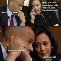 Ep. 15: On the Democratic Party (US) Candidates  the Split from the Labour Party (UK)