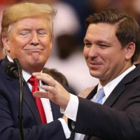 Ep. 53: The Elections  the Left, and Platypus Review #152