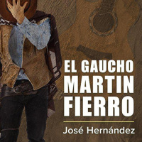 【 AUDIOLIBRO 】▶️ El gaucho Martin Fierro - José Hernández