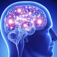 The Secret to Understanding Humans (Psychology)