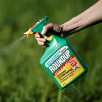 Weedkiller ingredient tied to cancer in 80% of US urine samples