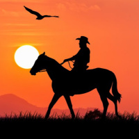 How wild was the Wild West?