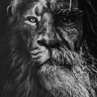 Scars of Life (Veterans Day Episode)