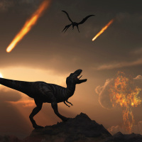 Inspirational Thoughts: What Was the Earth Like after Dinosaurs? (Earth History)