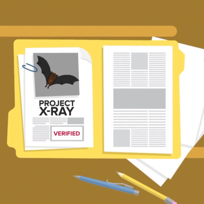 Inspirational Thoughts