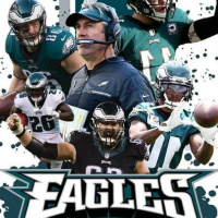 BIRDS FIRST HALF OBSERVATIONS