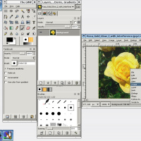 Herramientas de edición de imágenes y tratamiento del color