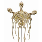 A Medical Case A Day