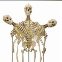 05 internet的应用