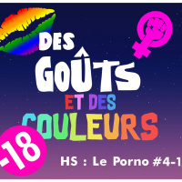 DGDC Hors Série : La Pornographie Occidentale - Partie 4-1 : Féminisme et Orientations Sexuelles