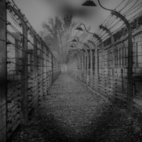 נינה ותמר, הכלב ומחנה הכפייה