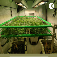 Giving fellow Growmie Shamp$