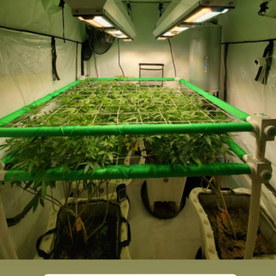 Common Conversations