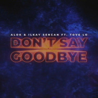 ALOK  Ilkay Sencan (feat. Tove Lo) - Dont Say Goodbye (Yuksel Urer Remix)
