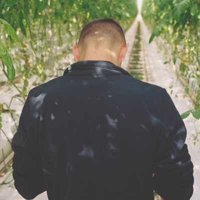 Podkas: Pawel, De Poolse Plukker