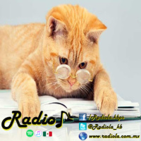 Los Gatos | Redescubriendo Libros