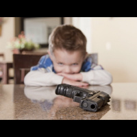 Lisa Talks About Guns