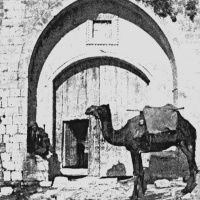 Trinity 20 2018 - Peter Lee LLM