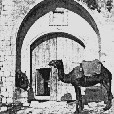 Sermons At Ss Philip  James Whitton