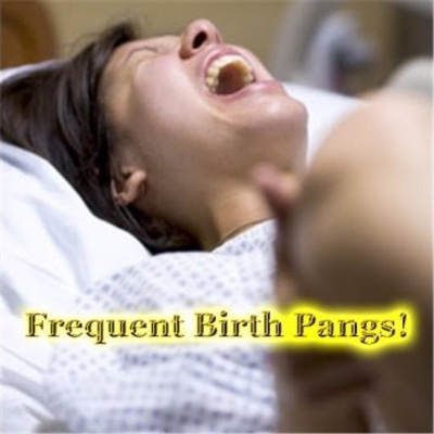 Sermons At Ss Philip  James Whitton