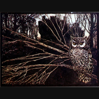 The Owl