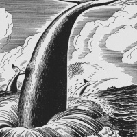 Moby Dick, chapter 57