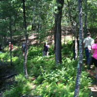 Burrillville - Walk in the Woods