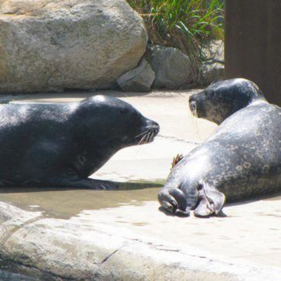 Steve Klamkin  The Saturday Am News