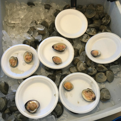 Steve Klamkin  The Saturday Am News