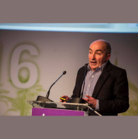 Programmatic / Dan Calladine / Head of Media Futures / Carat