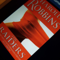 Raiders by Harrold Robbins