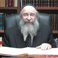 #0011: 05 Elul 5777 - Inyanei Halacha by Farbrengen