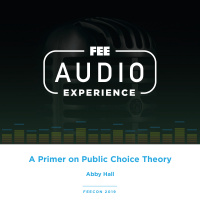 FEEcon 2019 | A Primer on Public Choice Theory 